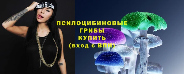 твердый Мегион