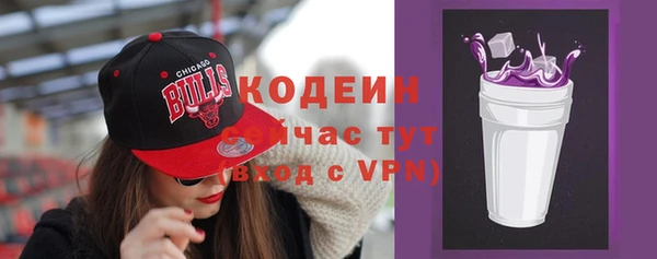 твердый Мегион