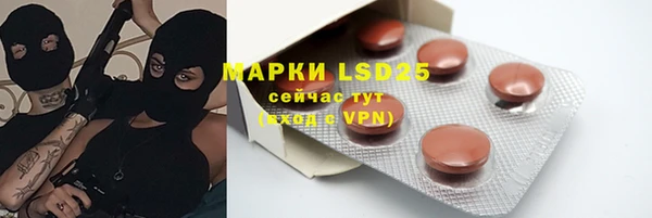 PSILOCYBIN Магас