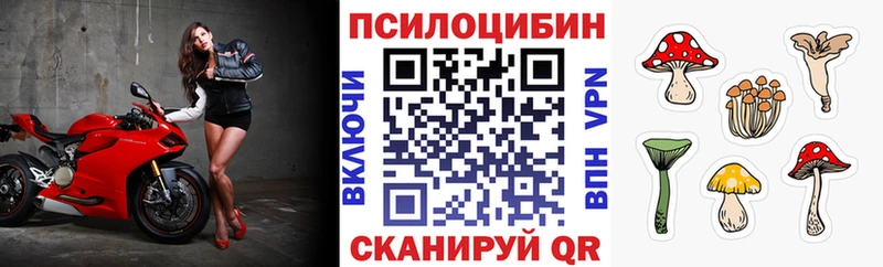 Галлюциногенные грибы ЛСД даркнет сайт Ачхой-Мартан